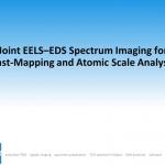 Joint EELS–EDS Spectrum Imaging for Fast-Mapping and Atomic Scale Analysis