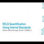 EELS quantification: Using internal standards