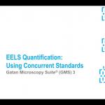 EELS Quantification: Using concurrent standards